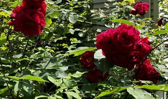 89 French Rd, Bolton, CT 06043