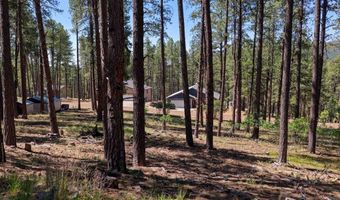 79 Spruce Way, Bayfield, CO 81122