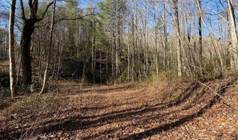 135 49ac Webb Creek Rd, Andrews, NC 28901