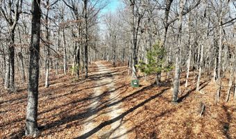Farm Rd 1187 Lc, Ash Grove, MO 65604
