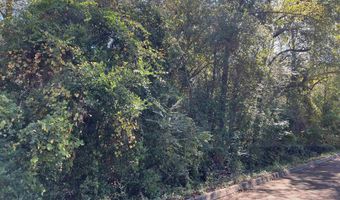 Berman St lot 11 1/2 & 12, Andalusia, AL 36421