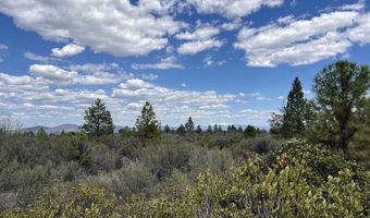 NF4433 Road 1 OF 2, Beatty, OR 97621