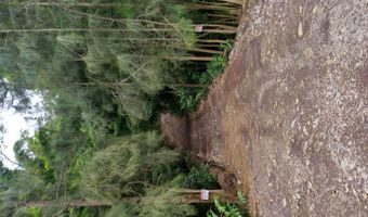 46-3821 PUAONO Rd 107, Honokaa, HI 96727
