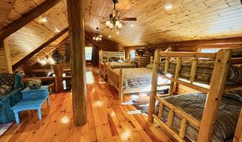 6402 Rustic Pine Trl, Alanson, MI 49706