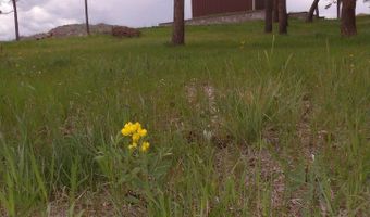 3434 Davis Ranch Rd, Bellvue, CO 80512