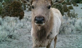 902 Lower Valley Rd, Boulder, MT 59632
