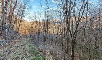 NC 209 Highway, Aurora, NC 28743