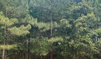 0- Lot 5 Piney Mountain Rd, Appomattox, VA 24522