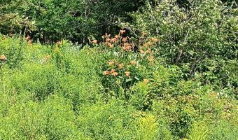 1165 W Alna Rd, Alna, ME 04535