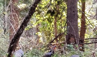 NKA Silver Creek Road, Clark Fork, ID 83811