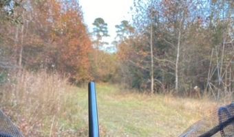 10664 Burton's Ferry Rd, Allendale, SC 29810
