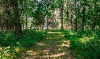 165 NW 150th Ln, Andover, MN 55304