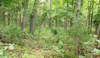 3899 County Road 304, Alton, MO 65606