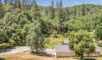 1950 Appaloosa Way, Angels Camp, CA 95222