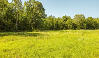 Beech Bluff Road, Beech Bluff, TN 38313