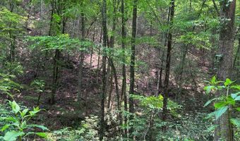 88 Acres Bolden Br, Andrews, NC 28901