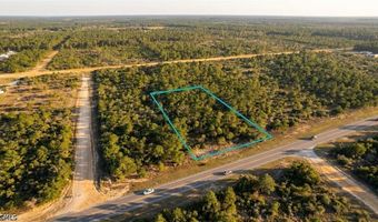 02-2 N 11-0083-00P0-0310 Fairview Rd, Alford, FL 32420