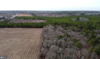 21063 WILSON Rd, Georgetown, DE 19947