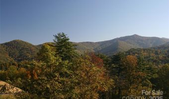 68 Wolfebridge Ln 16, Asheville, NC 28804