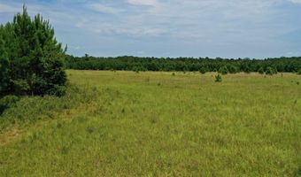170 Acres On Coleman Rd, Fort Gaines, GA 39851