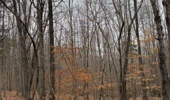 626 Holiday Lake Rd Lot 1, Appomattox, VA 24522