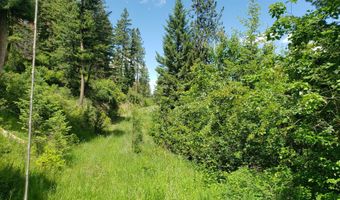 Arlee Pines lot 20, Arlee, MT 59821