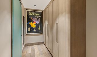 630 E Hyman Avenue Unit 203 & 206 203 & 206, Aspen, CO 81611