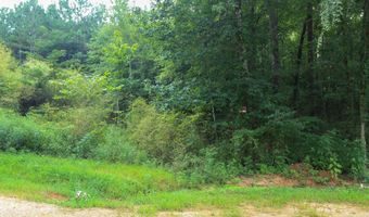 WINSLOW AVENUE lot 5.12 Ac, Anniston, AL 36206