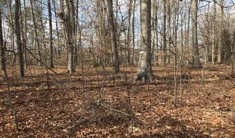 Devon Way Road, Baneberry, TN 37890