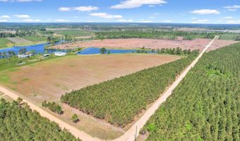 Tract 2 Ocelot, Alma, GA 31510