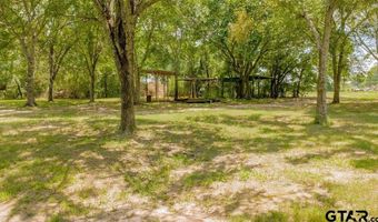 249 PR 6936, Alba, TX 75410