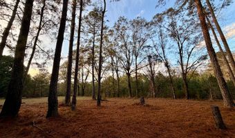 0 King Ln, Bay Minette, AL 36507