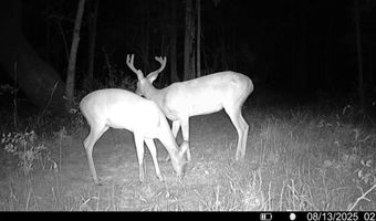1 Champion Hill Rd, Bolton, MS 39041