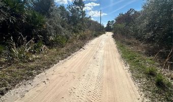 DEER CROSSING ROAD, Altoona, FL 32702