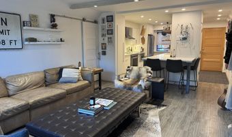 927 VINE St, Aspen, CO 81611