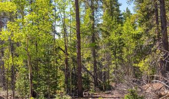 715 Lewsader Rd Lot 0, Alma, CO 80420