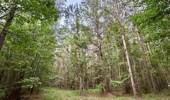 00 County Road 107, Ariton, AL 36311