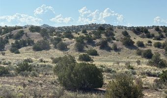 Tbd Fort Defina, Abiquiu, NM 87510
