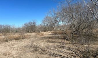 179 County Road 1461 Lot 9, Alice, TX 78332
