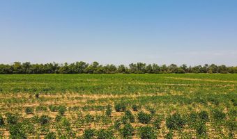 81 3+/- Acres SW Boyer Rd, Augusta, KS 67010