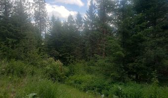 Arlee Pines lot 20, Arlee, MT 59821
