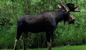 455 VILLAGE Rd 102, Breckenridge, CO 80424