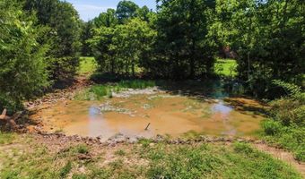 210 County Road 320, Alton, MO 65606