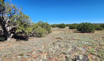 85 N 8522, Concho, AZ 85924