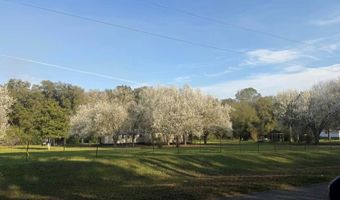 8876 Delta Pine Rd, Baconton, GA 31716