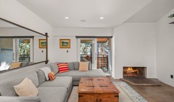 910 W Hallam St 11, Aspen, CO 81611