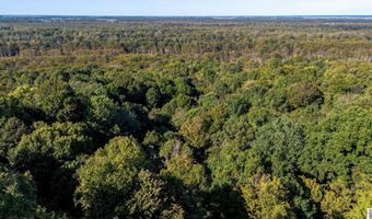County Road 1320 lot Between County Roads 1324, Bardwell, KY 42023