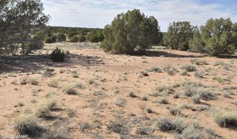 176 CR N5549, Concho, AZ 85924