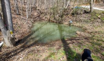 355 Lone Mountain Rd, Andersonville, TN 37705