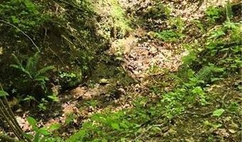 Goose Creek Lane, Ararat, VA 24053